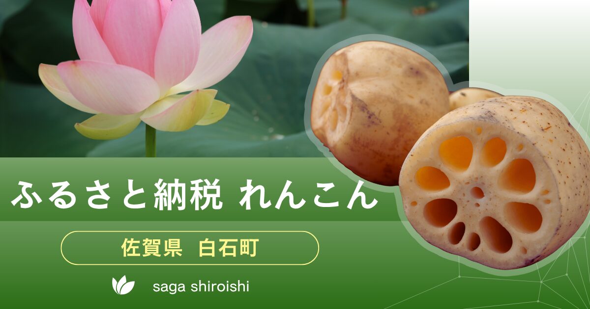 ふるさと納税　佐賀県白石町のれんこんを主婦目線で紹介