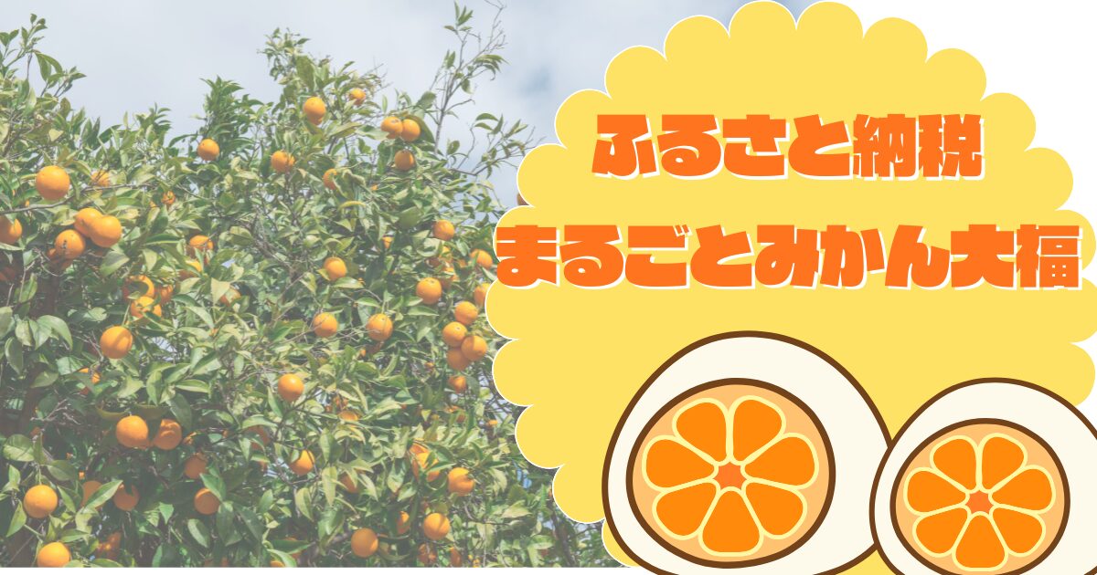 ふるさと納税、静岡県浜松市のみかん大福の記事