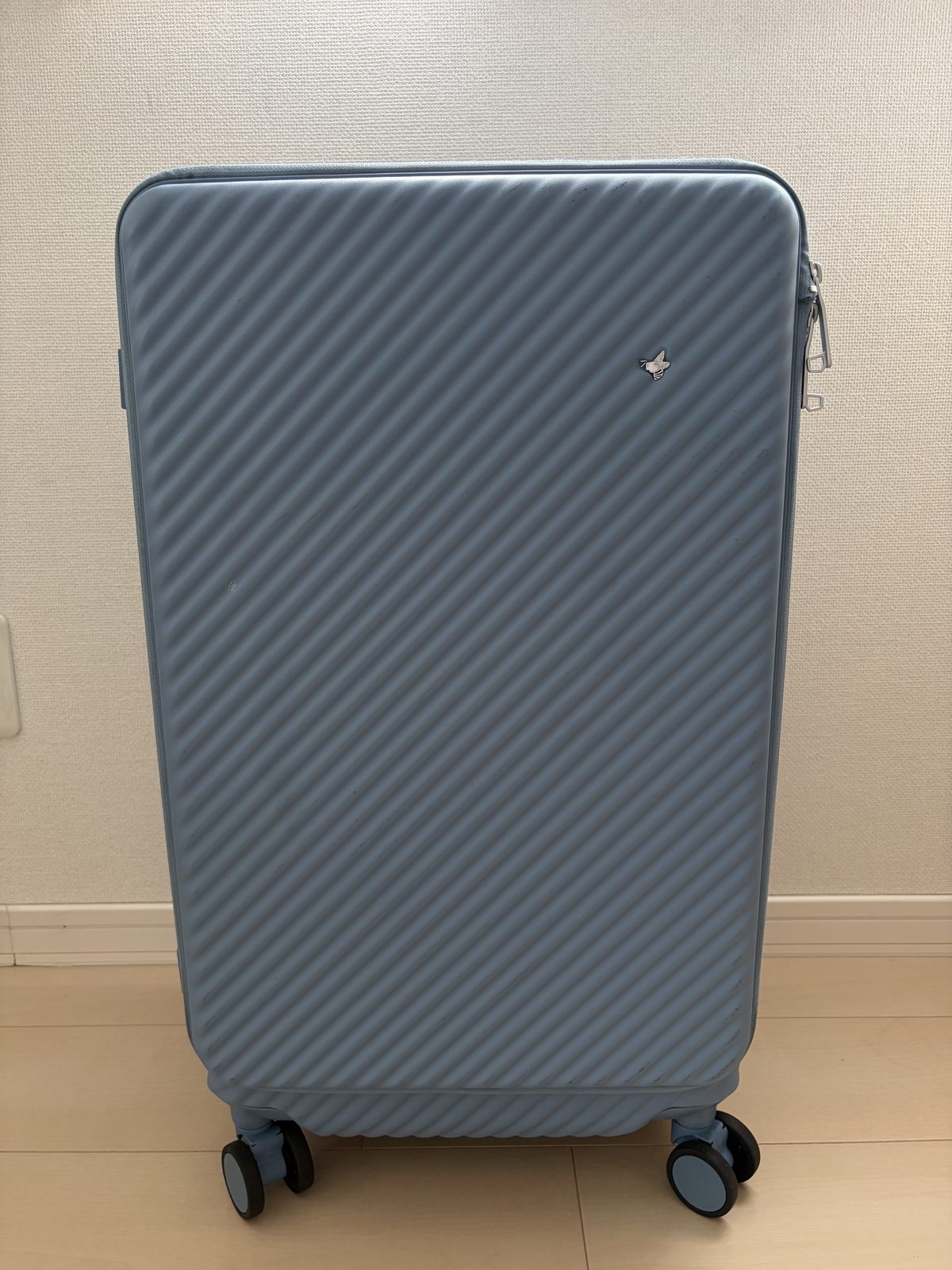 エース ハント ココント Mサイズ ティルタ・ブルーの正面